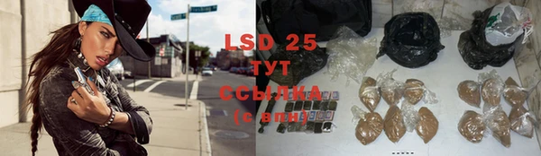 стаф Зерноград