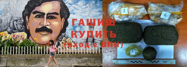 стаф Зерноград