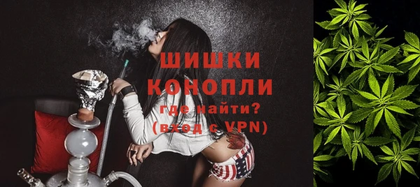 стаф Зерноград