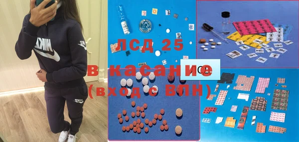 стаф Зерноград