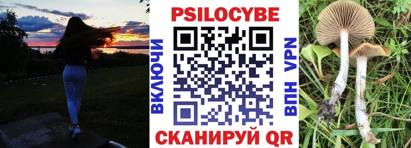 Псилоцибиновые грибы GOLDEN TEACHER  цены   Долгопрудный 