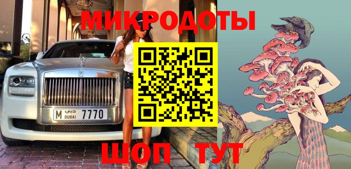 Галлюциногенные грибы Psilocybine cubensis Долгопрудный