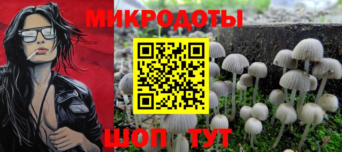 Долгопрудный  где можно купить   Вход с VPN  Псилоцибиновые грибы мицелий 